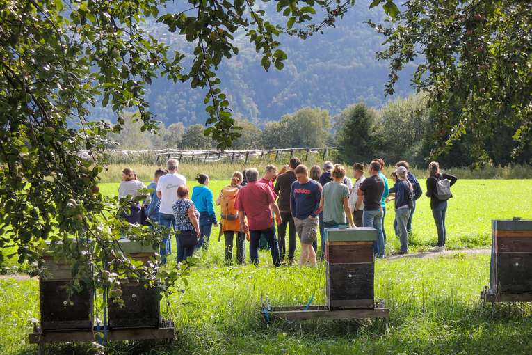 Zwischenfrucht und Hochstammobst .jpg © Reinhard Gessl, FiBL