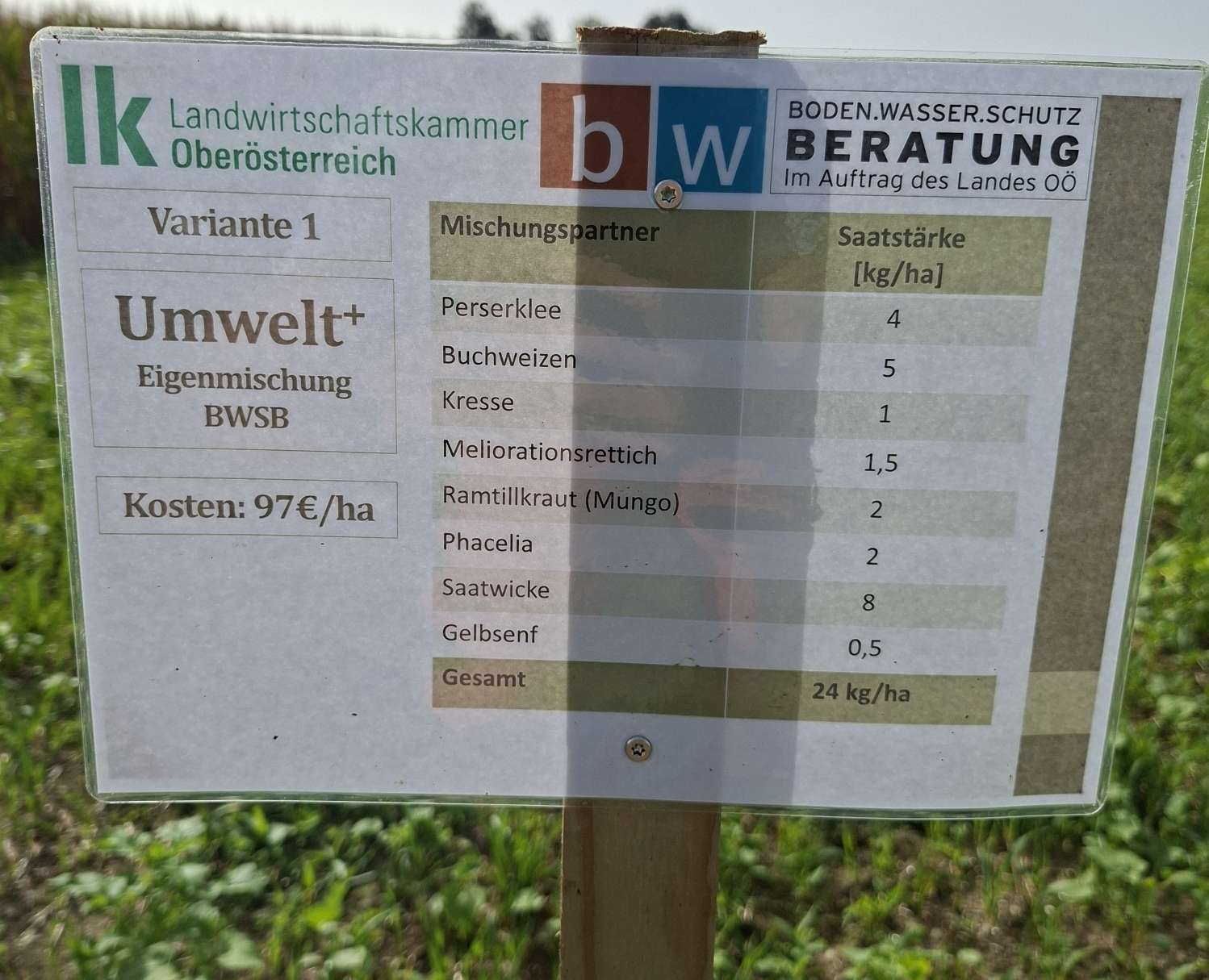Zwischenfruchtversuch.jpg © BWSB