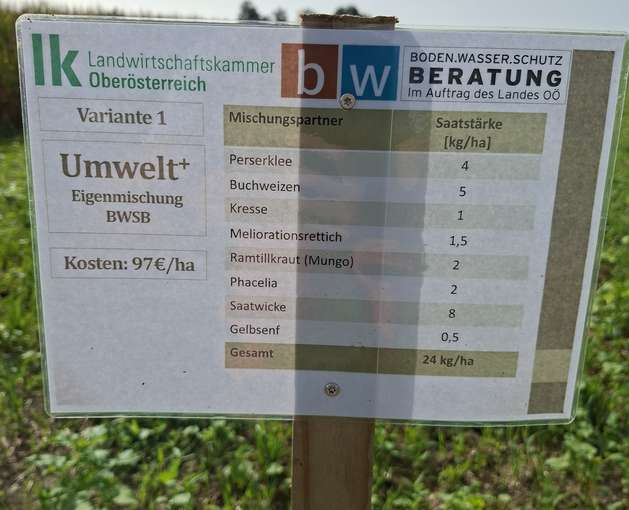 Zwischenfruchtversuch.jpg © BWSB