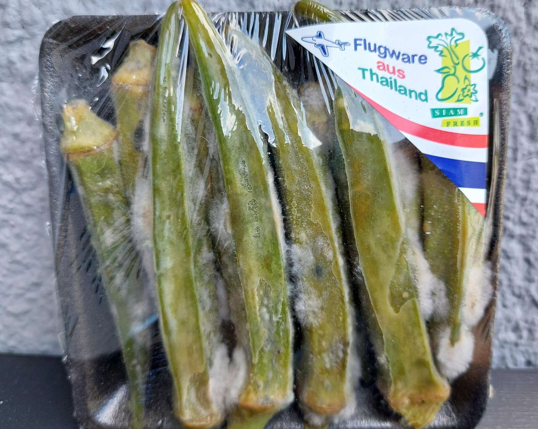 verschimmeltes aus Thailand.jpg © BWSB/Wallner