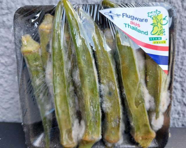 verschimmeltes aus Thailand.jpg © BWSB/Wallner