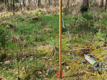 Die Erhebungen der Wildschadensberatung der Landwirtschaftskammer OÖ ergeben heuer erhöhte Wildschäden..jpg © LK OÖ/ Rechberger
