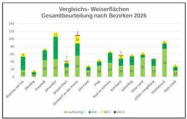Ergebnisse der Begehungen der Vergleichs- und Weiserflächen.jpg © Landesforstdienst OÖ