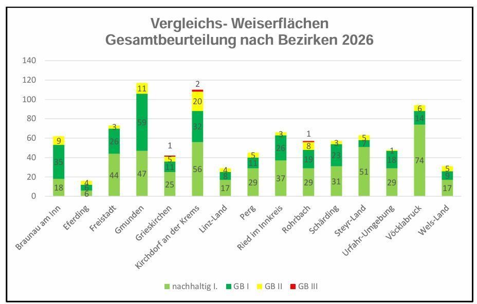 Ergebnisse der Begehungen der Vergleichs- und Weiserflächen.jpg © Landesforstdienst OÖ