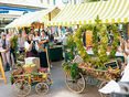 Erntedank Bregenz © Land Vorarlberg / 7PRO.TV
