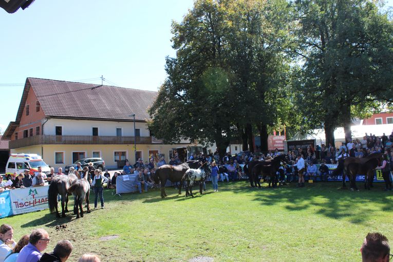 © LK Kärnten