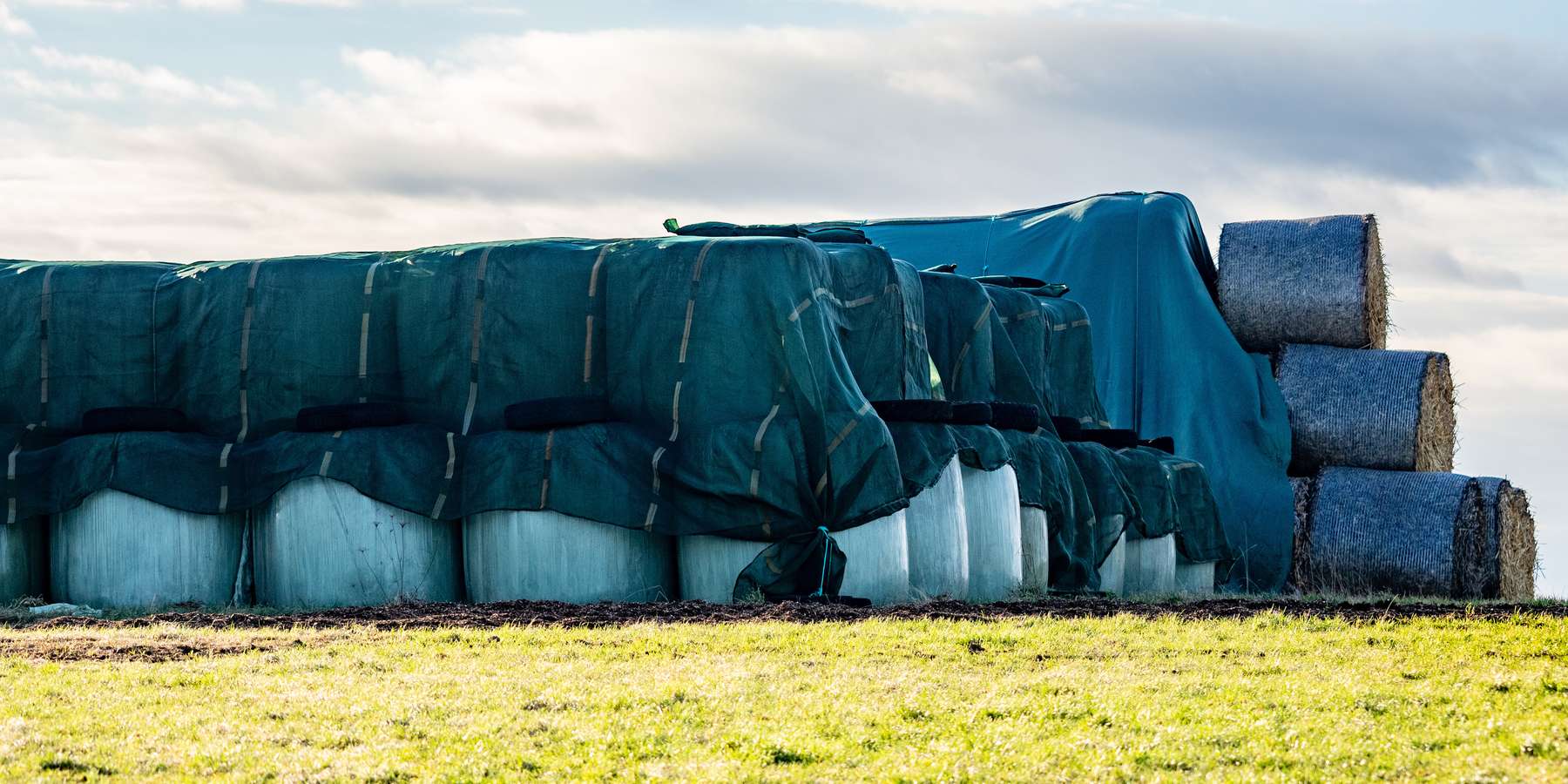 Siloballen geschützt © AdobeStock
