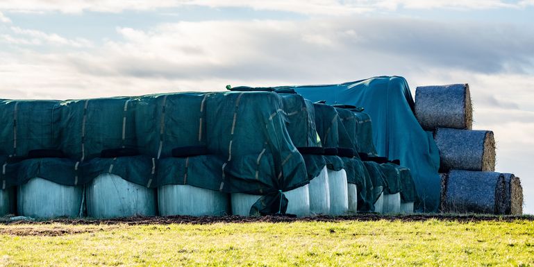 Siloballen geschützt © AdobeStock