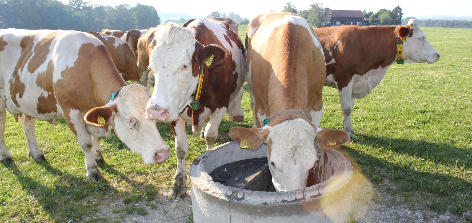 Wasserversorgung.jpg © Bio Austria