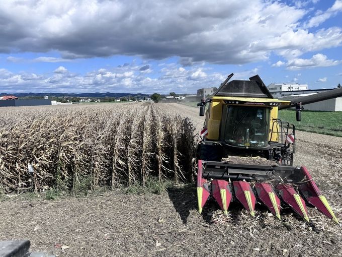 Maisernte_LKOÖ_Kastenhuber_klein.jpg © Landwirtschaftskammer OÖ