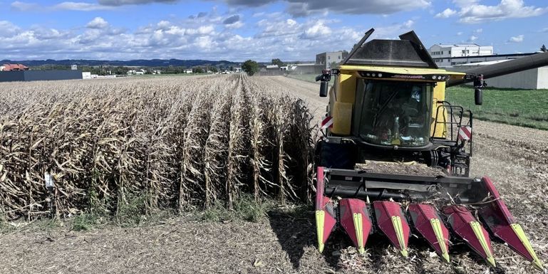 Maisernte_LKOÖ_Kastenhuber_klein © Landwirtschaftskammer OÖ