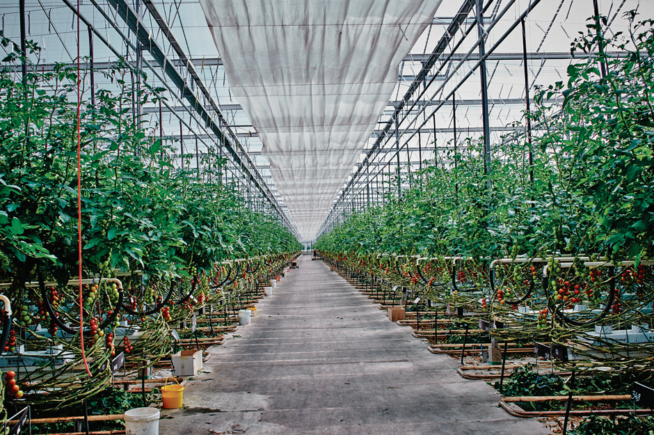 Gesamenergiekonzept für Gartenbaubetriebe.jpg © LK NÖ/Franz Gleiss