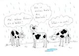 Erster Regen.jpg © Mitterwallner