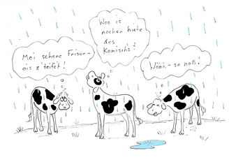 Erster Regen © Mitterwallner