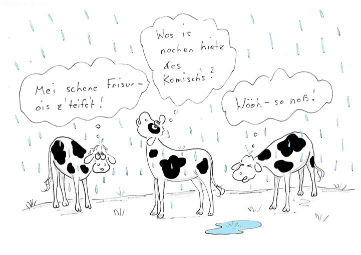 Erster Regen.jpg © Mitterwallner