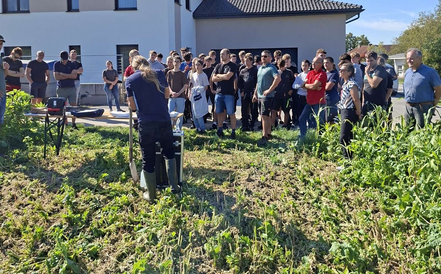 2 FB Zwischenfrucht-Großversuch Waizenkirchen.jpg © BWSB/Ömer T.