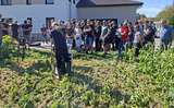 2 FB Zwischenfrucht-Großversuch Waizenkirchen.jpg © BWSB/Ömer T.