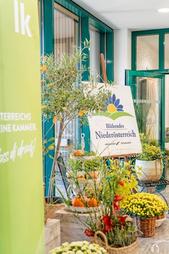 © Georg Pomaßl/LK Niederösterreich