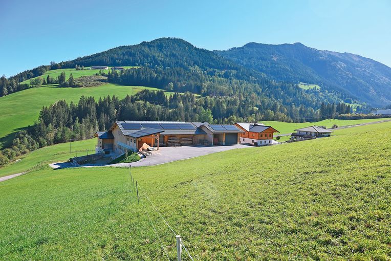 buchsteiner.jpg © Mooslechner