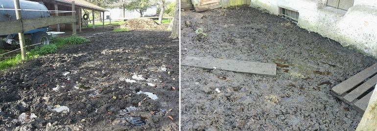 Gatschkoppeln vermeiden.jpg © BWSB/Wallner