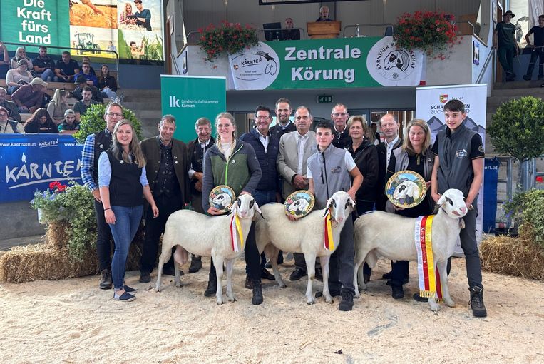 © SZZV