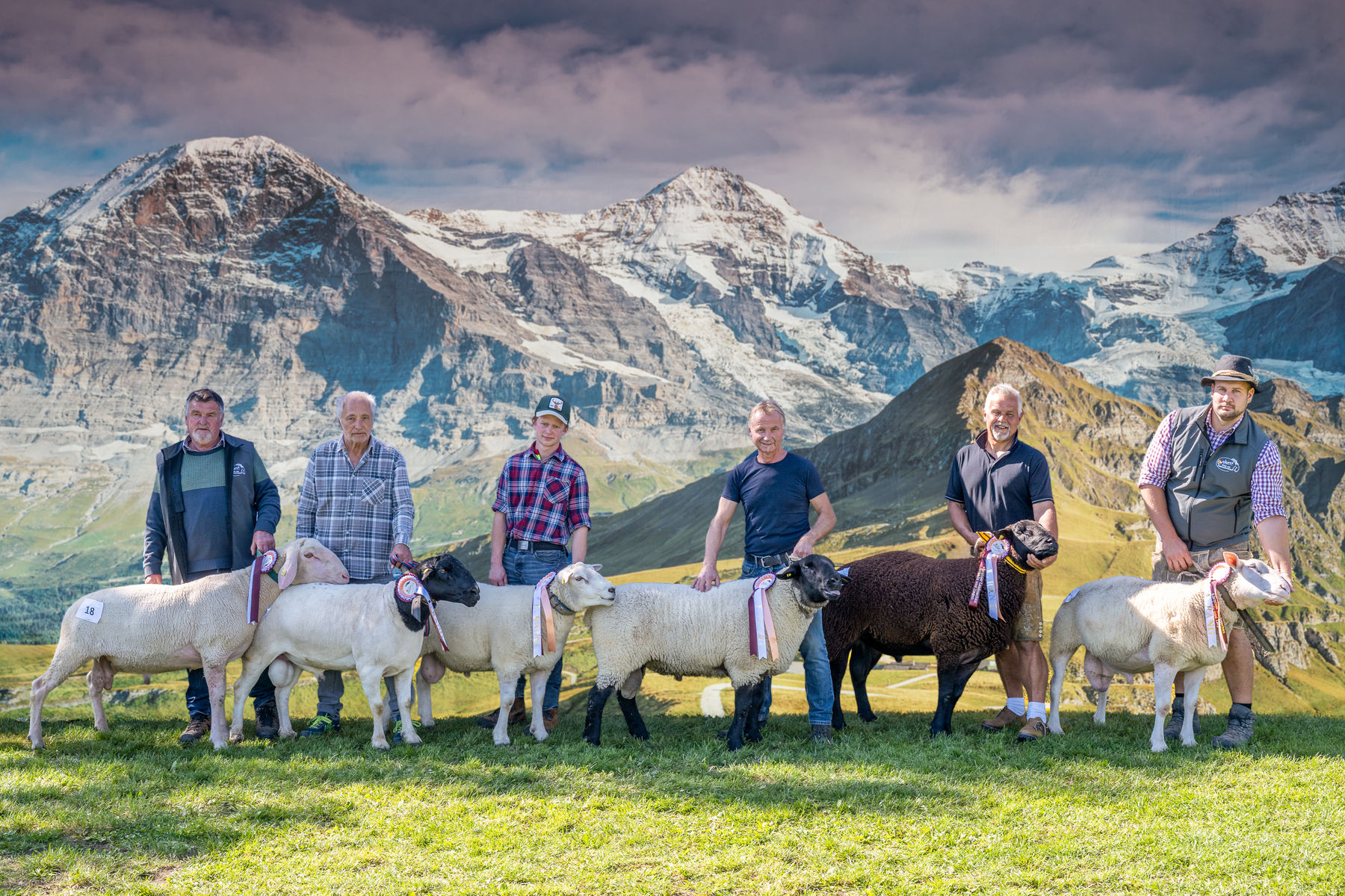 © SZZV