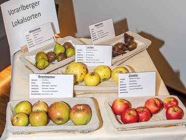 Festakt 100 Jahre Baumwärter.jpg © Baumwärter Fachverband Vorarlberg / Bertram Frei