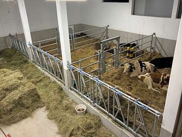 Neubau Familie Geiger.jpg © LK Vbg.