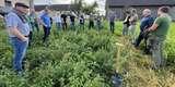 Bodendruck verringern – Bodengesundheit erhalten_IMG_7653.jpg © BWSB/Schmid