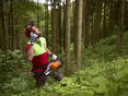 Bild_Sichere Waldarbeit_klein © Landwirtschaftskammer OÖ