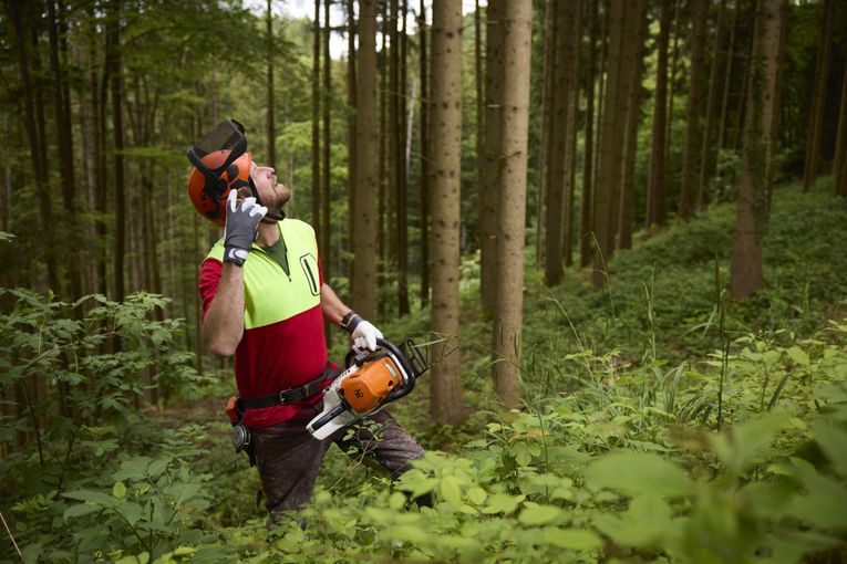 Bild_Sichere Waldarbeit_klein.jpg © Landwirtschaftskammer OÖ
