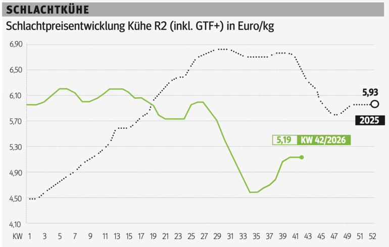 Schlachtkuhgrafik KW 42.png © Grafik RZV