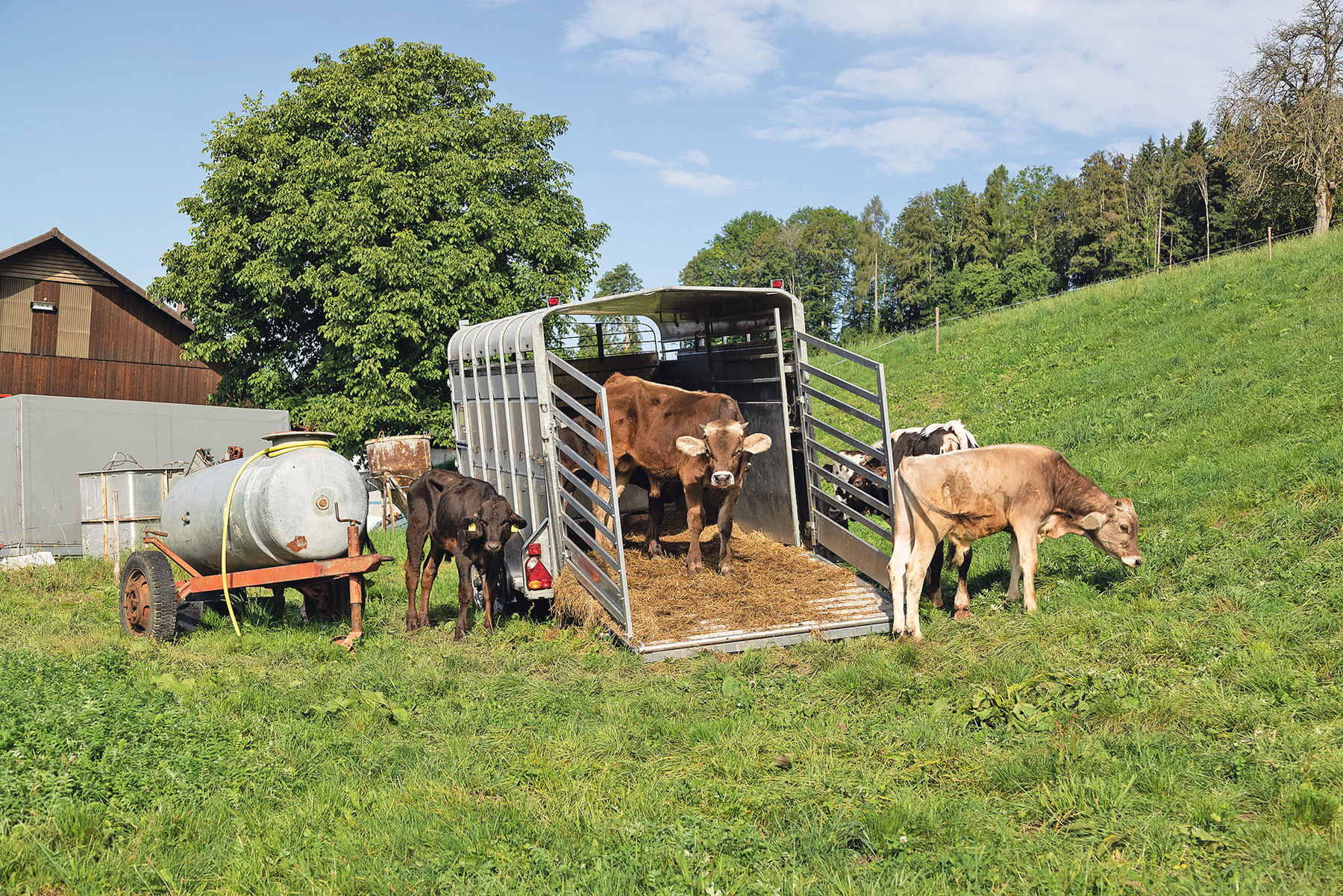 Tierhalter.jpg © AdobeStock