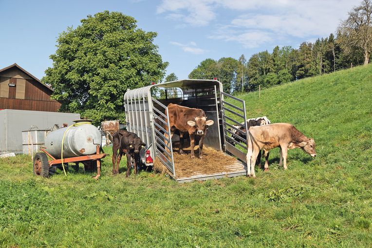 Tierhalter.jpg © AdobeStock
