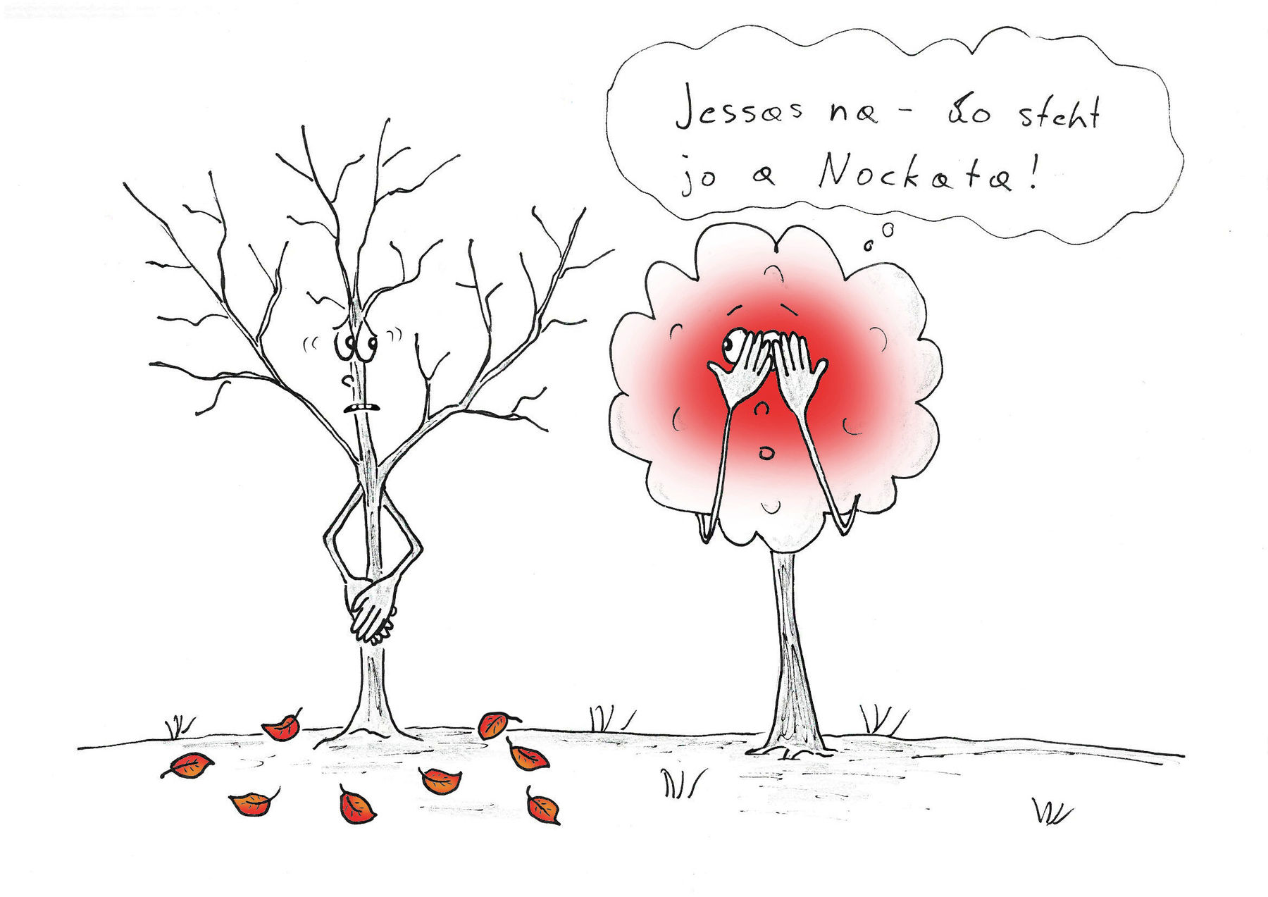 Herbstbäume.jpg © Mitterwallner