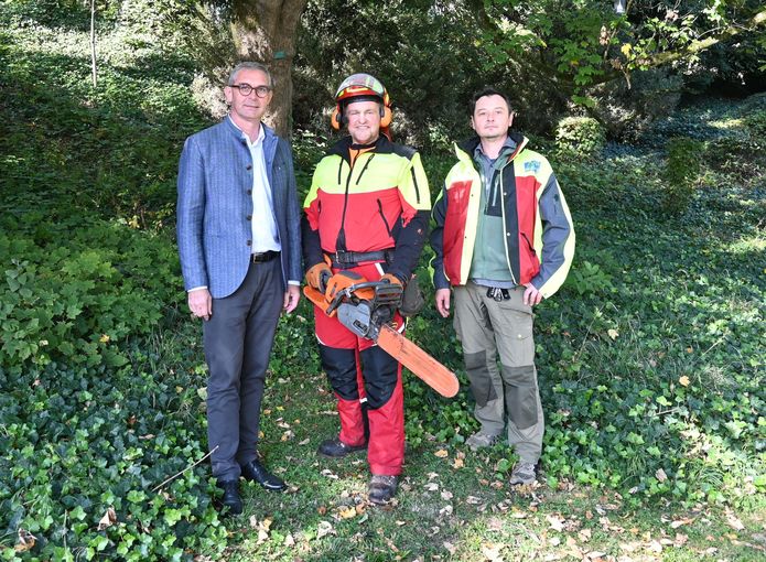 PK Sichere Waldarbeit (53)LK OÖ.jpg © Landwirtschaftskammer OÖ