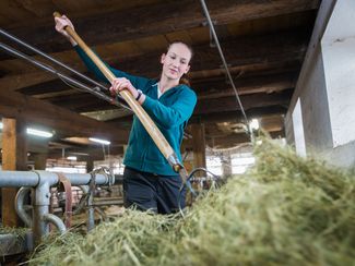 Milchbäuerin bei Fütterung © Danner LK Stmk
