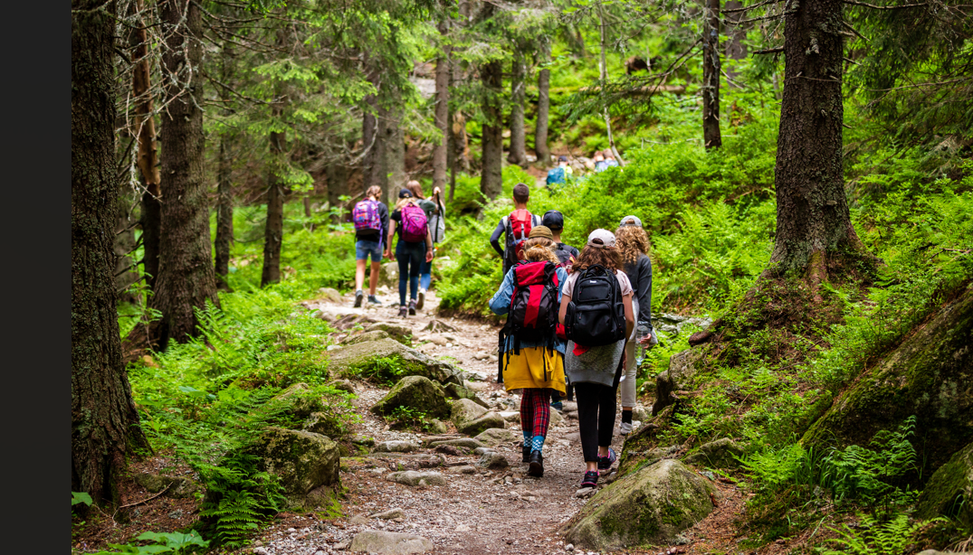Waldspaziergang komprimiert.png © stock.adobe.com