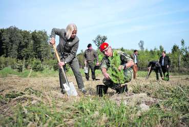 Klimafitter Versuchswald .jpg © Karlovits/BMLV/HBF