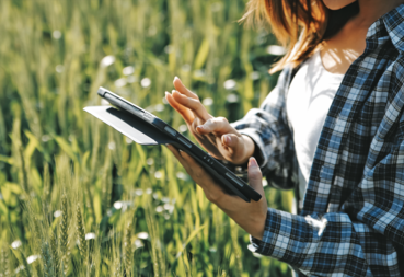 Frau mit Tablet.png © AdobeStock/ARMMY PICCA