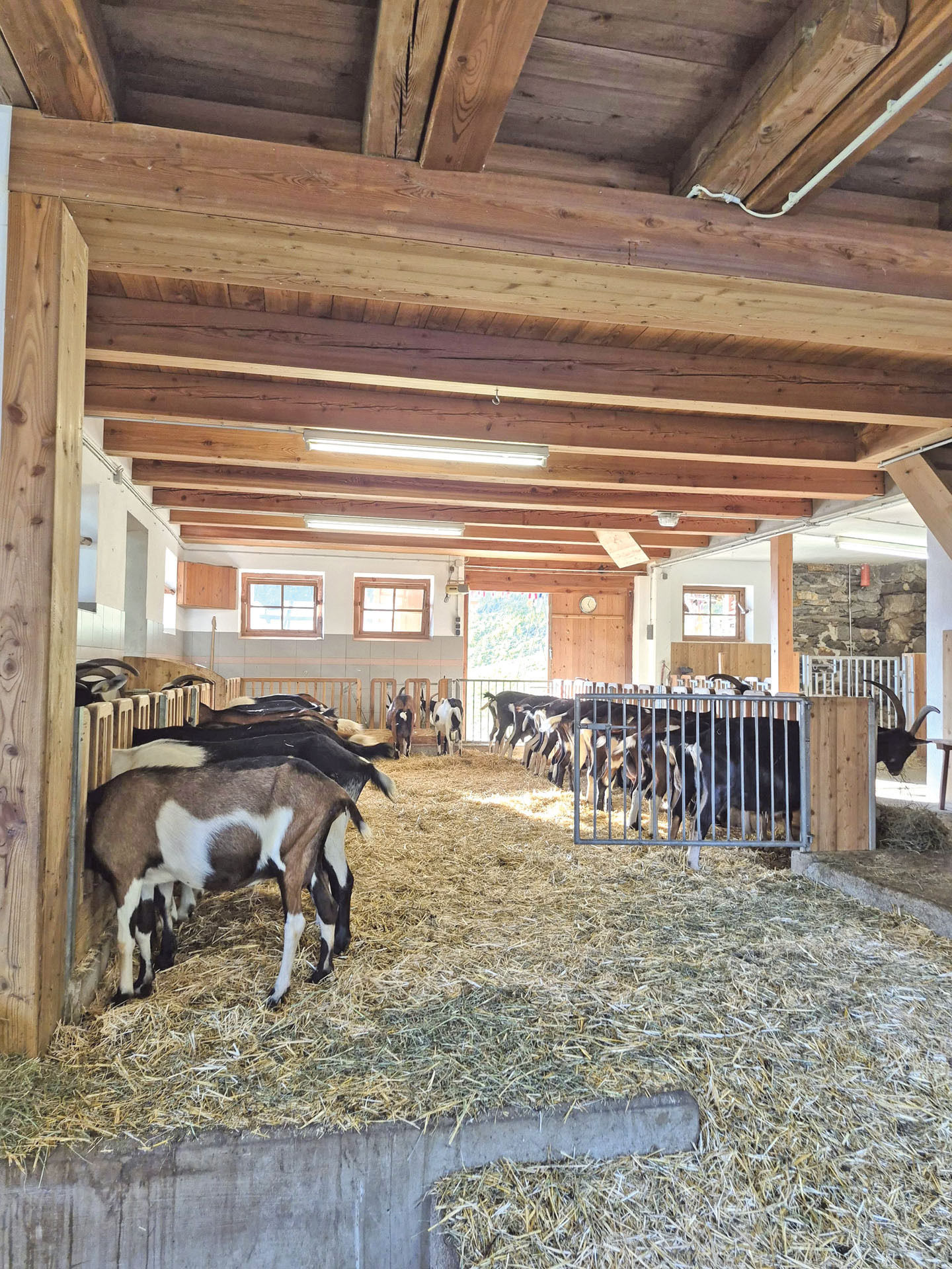 Sauegghof Neukirchen a. Grv..jpg © Etter