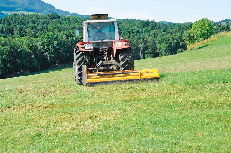 Grünland im Herbst .jpg © Dür