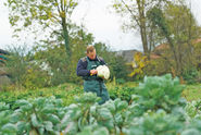 Krauternte  beschließt trockene Gemüsesaison.jpg © Hatheier