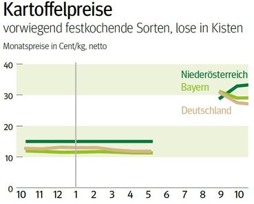 NÖ: Ausblick auf den Kartoffelmarkt © LK NÖ