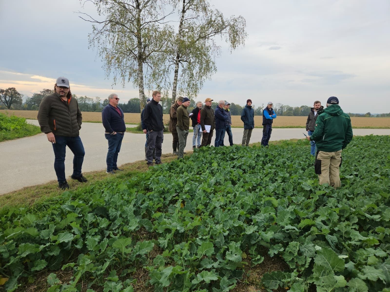 Eindrücke von der Feldbegehung in Sierning am Betrieb Bramberger mit Matthias Kastenhuber und Benedikt Ecker. Besprochen wurden der Verlauf des heurigen Jahres und Maßnahmen im Herbst bei Raps und Wintergetreide sowie Aktuelles zum Grundwasser 2030. © BWSB/Ecker