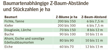 Z bäume.png © LK Kärnten