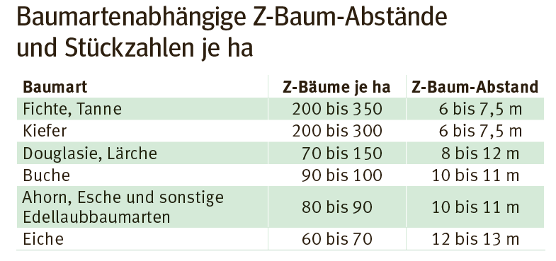 Z bäume.png © LK Kärnten