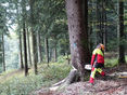 Arbeitssicherheit im Forst © LK Vbg.