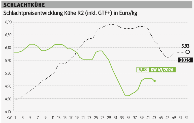 Schlachtkuhgrafik KW 43.png © Archiv