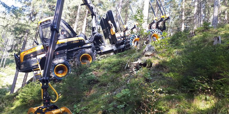 Der Einsatz von Forstdienstleistern erfordert klare Ziele und ausreichend Kommuinkation. © LK OÖ